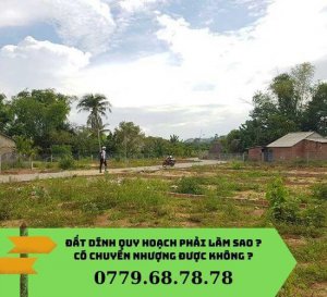 đất dính quy hoạch chuyển nhượng được không